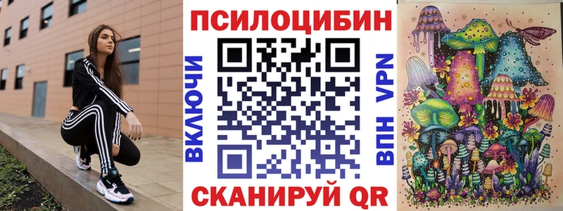 Псилоцибиновые грибы Cubensis  магазин продажи   Зубцов 